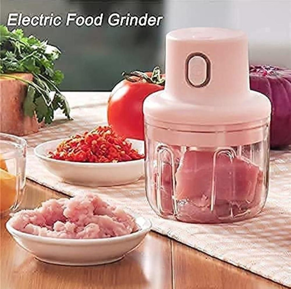 KolorFish Electric Mini Garlic Chopper 250ml Electric Vegetable Chopper